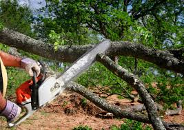 Landscape Design and Installation in Timmonsville, SC